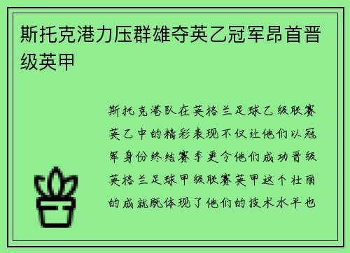 斯托克港力压群雄夺英乙冠军昂首晋级英甲
