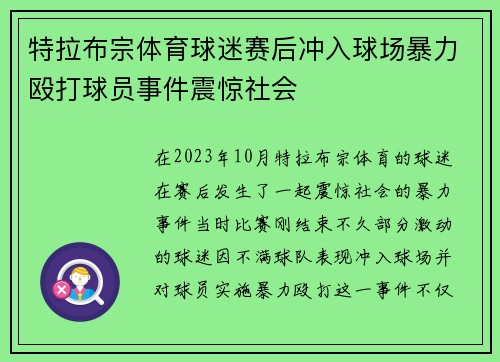 特拉布宗体育球迷赛后冲入球场暴力殴打球员事件震惊社会